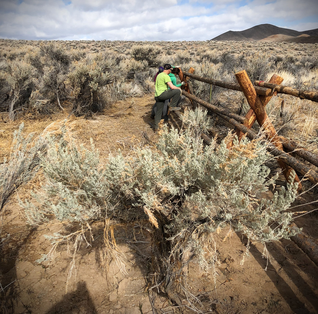 Two fencing contractors building a rustic post-and-rail fence outdoors